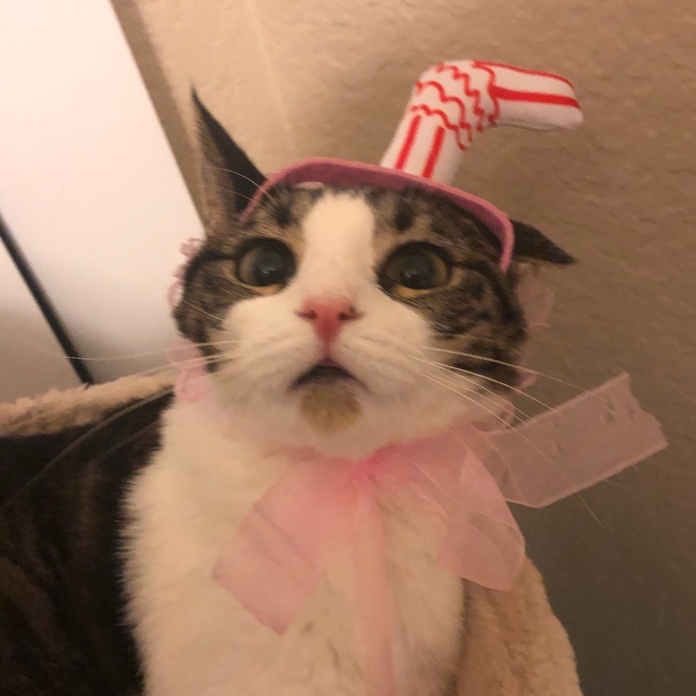 Meet your Posher, Meee